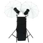 Bowens BW4765TX Gemini 400/400Rx Twin Head Studio Kit (BW-4765TX) Bowens BW4765TX Gemini 400/400Rx Twin Head Studio Kit (BW-4765TX)